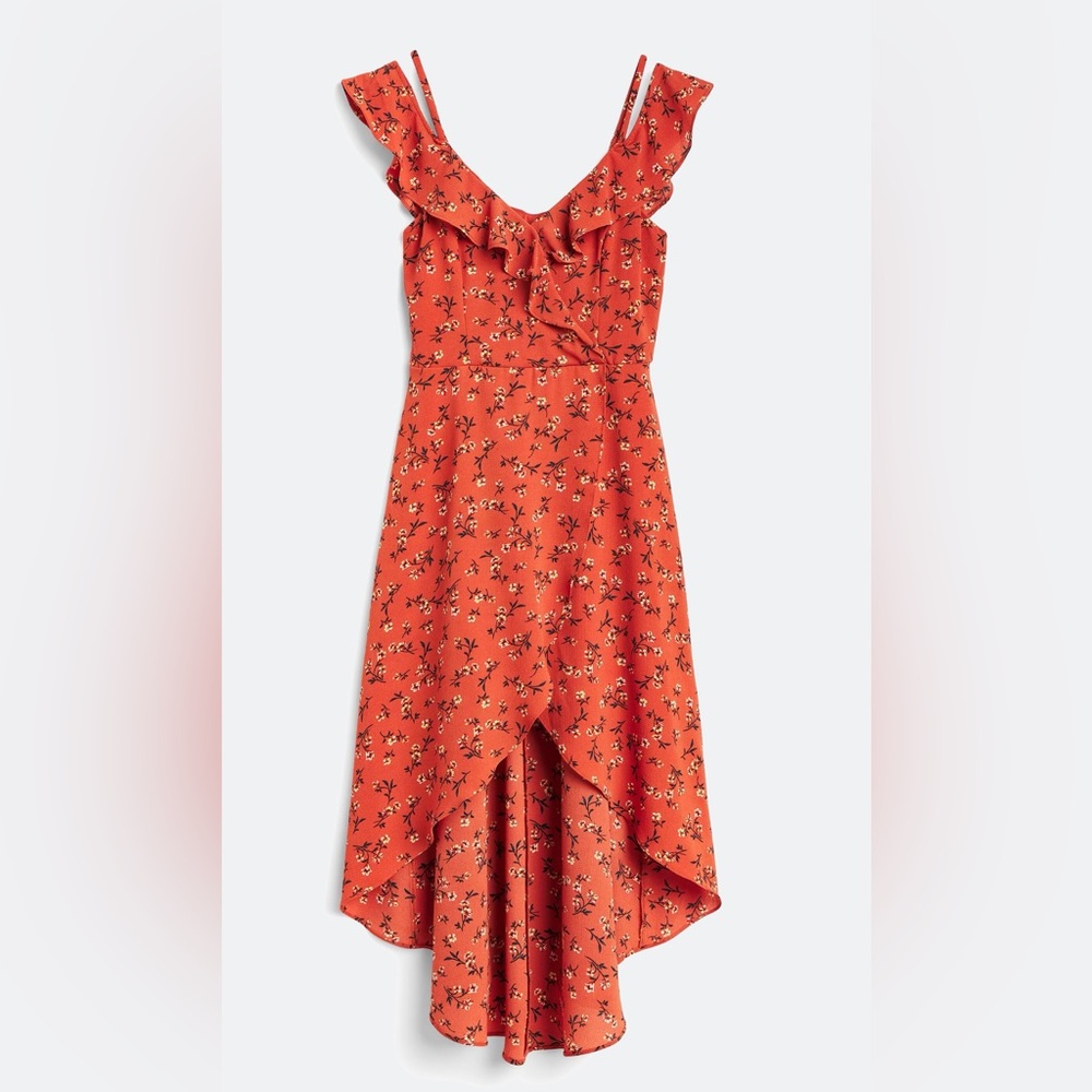 The General Good burnt orange maxi dress.  Size large petite.